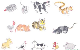 欲钱多读书是什么生肖？读书打一个生肖