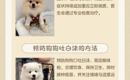 口吐白沫是什么生肖？口吐白沫最正确生肖