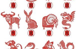 壮的生肖是什么？壮字适合什么属相的人