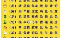 冲鼠的生肖是什么生肖？虎和什么生肖相冲最凶