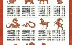 神七是什么生肖？神代表什么数字