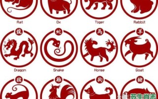 藏杀机是什么生肖？暗藏杀机打一最佳生肖