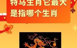 独字生肖是什么生肖？独字最佳一肖