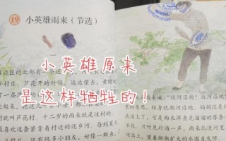 雨来成碎锦是什么是生肖？雨来成碎锦,风起现花纹