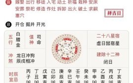 2026年属狗生肖运程：运势逆转吉凶如何？哪些关键事项必须提前规避与把握？