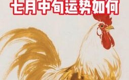 七月七日是什么生肖？七月七日打一最佳动物