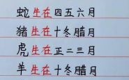 四月份出生是什么生肖？一年四月有几率是什么生肖