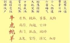 2026年生肖鸡运程全面解析：属鸡人如何化解太岁危机并把握财富机遇？