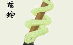 白云流水是什么生肖？行云流水打一生肖