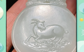 洁白的动物是什么生肖？买白色动物最正确生肖