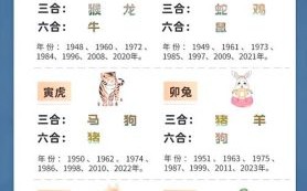 丑牛恶狗一一坏是什么生肖？与牛相合的生肖