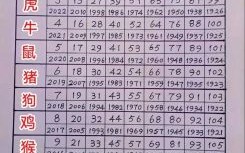 买十二生肖是什么彩票？买马十二生肖网站入口