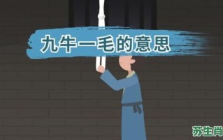 一牛一毛是什么生肖？九牛一毛打一动物生肖