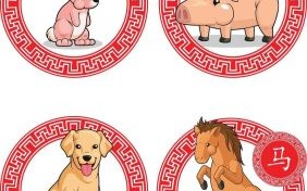 无独有偶是什么生肖？无独有偶打一准确生肖