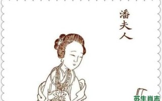 淑是什么生肖？淑女代表什么生肖