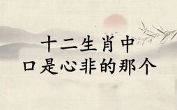 嘴巴两张皮咋说咋有理是什么生肖？磨嘴皮子是什么生肖