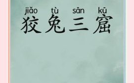 狡兔三窟是什么生肖？狡兔三窟打一准确动物