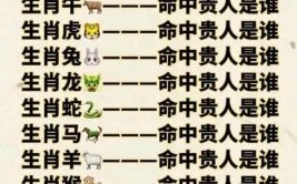 畏首畏尾是什么生肖？畏首畏尾打最正确一肖