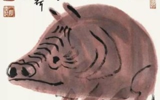 老头是什么生肖？老头打一个最佳生肖