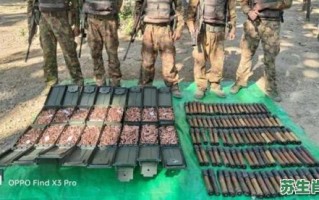 没子弹是什么生肖？欲钱买子弹打一生肖