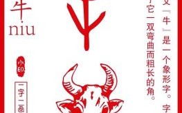 贺字是什么生肖？贺打一生肖最佳答案