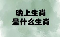 半夜是什么生肖？半夜打一正确生肖