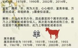 是夫妻的生肖是什么生肖？夫妻肖指什么生肖