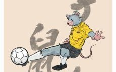 踢足球是什么生肖？足球代表什么数字
