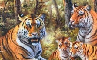 林中大王是什么生肖？林中之王最佳答案一肖