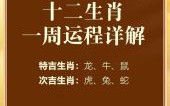 牛刀小试是什么生肖？试字打一准确生肖