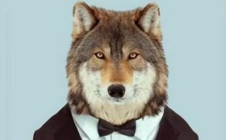 衣冠禽兽是什么生肖？衣冠禽兽打一最佳动物