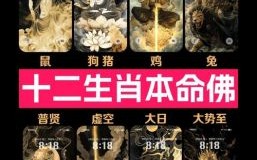 发金光是什么生肖？十二生肖谁发金光