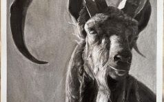 不务正业的生肖是什么？不务正业的生肖是哪一肖