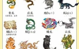 龙的相冲生肖是什么？龙和兔属相冲吗