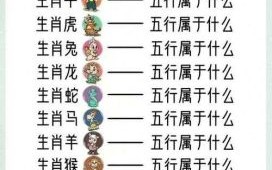 户是什么生肖？户字打一准确生肖