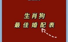 1970年是什么生肖？1970年属狗的最佳配偶