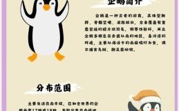 企鹅是什么生肖？企鹅打一正确答案生肖