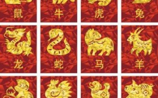 龙虎相争的生肖是什么？龙虎相争正确答案一肖