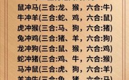 天下一家是什么生肖？天下一家的正确动物