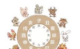 传千年是什么生肖？佳音频传的生肖是什么