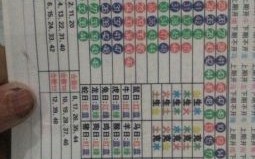 今期生肖九字头是什么生肖？九字头最正确的生肖