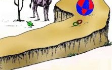 旁敲侧击是什么生肖？旁敲侧击打一最佳生肖