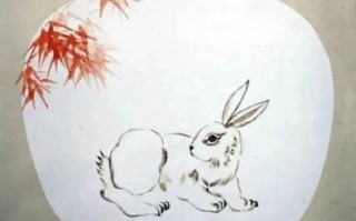 玉免下凡是什么生肖？玉兔下凡是指什么生肖