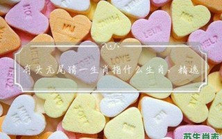 有头无尾是什么生肖？有头无尾打一正确生肖