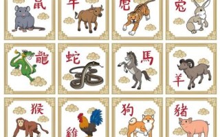 会比赛的是什么生肖？赛指什么生肖