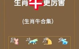 金牛出门是什么生肖？金牛出门最正确答案是什么