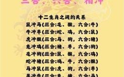 2026年生肖运程全面解读：你的属相今年运势如何，抓住机遇还是规避风险？