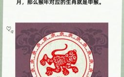 二八丁配五不满是什么生肖？二八丁配最佳答案一肖