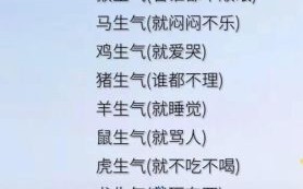 欲钱看天上是什么生肖？天上生肖打一最准确生肖