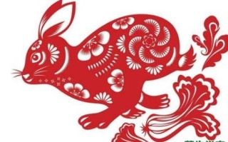 木肖是什么生肖？木肖最准确的生肖